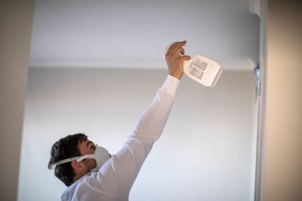 Best Attic Mold Removal  in Del Rey, CA