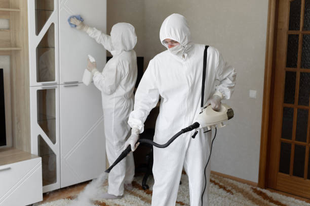 Best Mold Testing  in Del Rey, CA